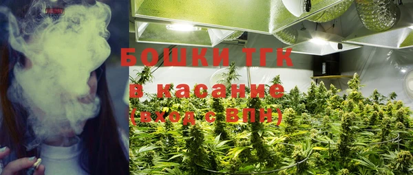 гидропоника Богородицк